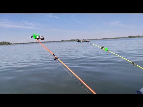 Видео: Шли за ЛЕЩОМ, а клюнул ОН! Ловлю на бортового КРОКОДИЛА!