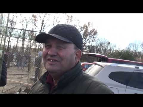 Видео: Ярмарок .Умань.Продовження