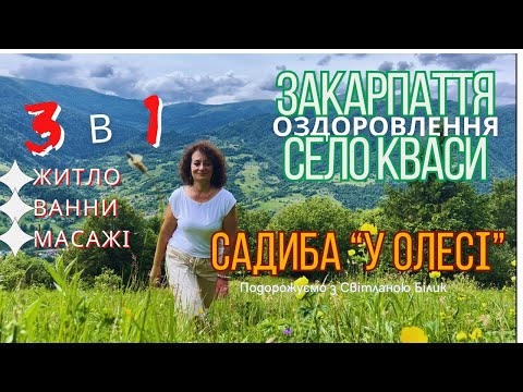 Видео: Мишʼяковисті води у селі Кваси на Закарпатті. Садиба "У Олесі". Ціни та умови #садибауолесі #кваси