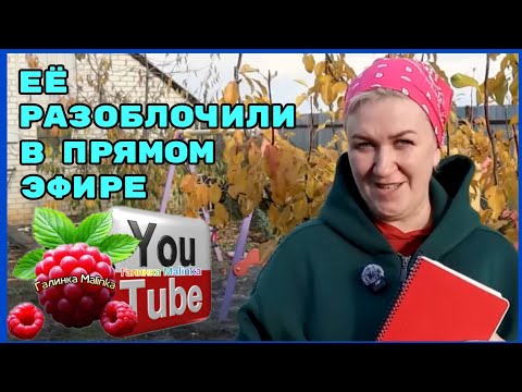 Видео: Деревенский дневник /Её разоблачили в прямом эфире /Обзор /Мать-героиня /Леля Побируха /Быкова 