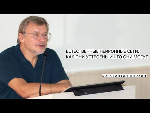 Видео: Нейронные сети и их принципы. Константин Анохин