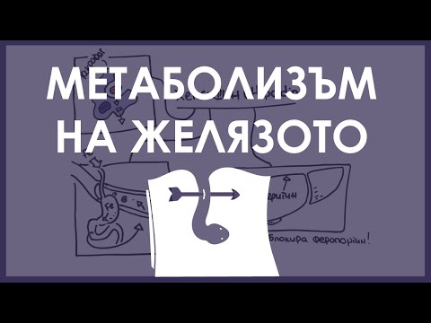 Видео: Биохимия | Метаболизъм на желязото