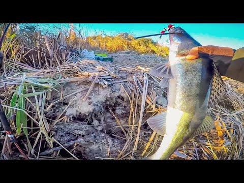 Видео: ПАССИВНИЙ СУДАК з Берега на джиг, Шумова приманка Та ТЕХНІКА проводки, Судак на джиг