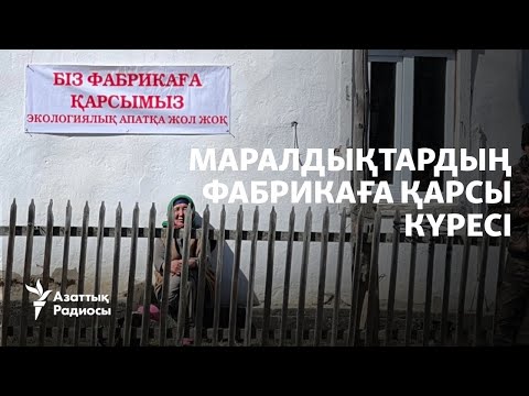Видео: Тергеу, тінту, қамау. Алтын фабрикасына қарсы Маралды халқының күресі