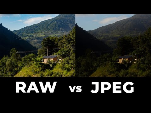 Видео: RAW vs JPEG — Какой Формат Выбрать в 2022? Видеоурок Фотографии Для Начинающих