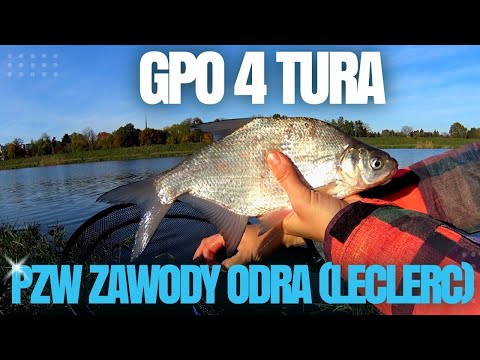 Видео: 4 ТУР СОРЕВНОВАНИЯ ПО ПОПЛАВОЧНОЙ ЛОВЛЕ НА РЕКЕ ОДРА. ZAWODY PZW GPO WROCŁAW IV TURA ODRA (LECLERC).