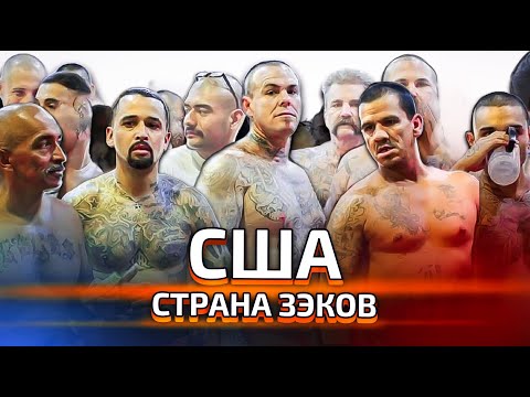 Видео: Почему процент заключенных в США самый высокий в мире.