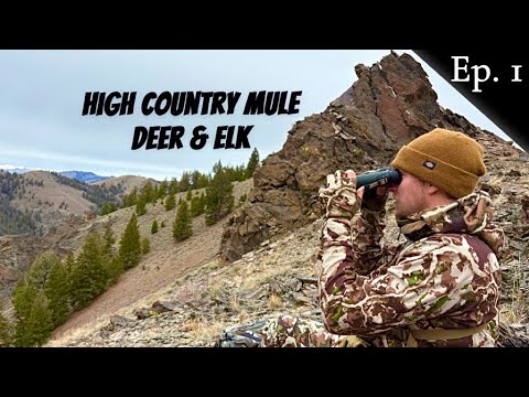 Видео: Охота на оленей и лосей в высокогорье | Выпуск 1