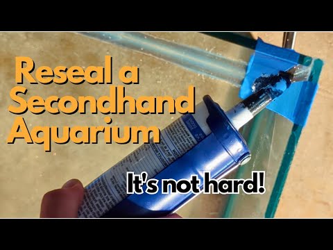 Видео: Как повторно запечатать старый аквариум — пошаговое руководство
