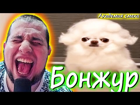 Видео: Manyrin смотрит попробуй не засмеяться 999% проиграют / 644 секунд смеха