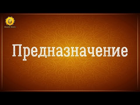 Видео: Предназначение человека. В чем смысл жизни?
