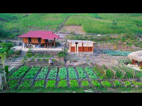 Видео: Живите в дикой природе! Стройте свежие огороды, собирайте кукурузу на продажу, выращивайте цветы