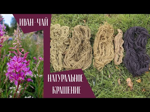 Видео: Крашение натуральными красителями. Иван-чай