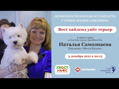 Видео: Вест хайленд уайт терьер / Наталья Самознаева. Питомник "Мечта Натали"