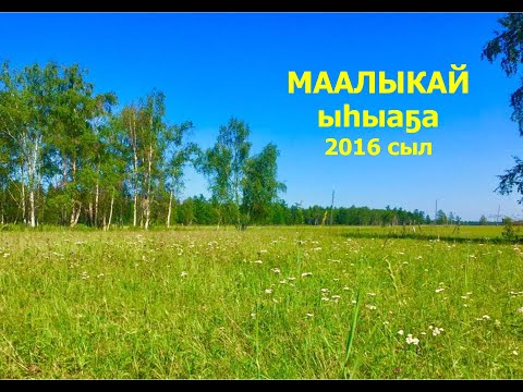 Видео: МААЛЫКАЙ ыһыаҕа 2016 сыл. Ньурба оройуона