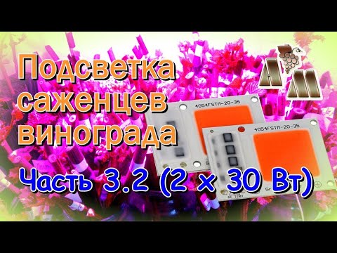 Видео: 🍇 Светодиодная подсветка саженцев винограда. Часть  3.2 - Светодиодные чипы (2 по 30 Вт)