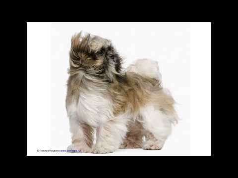 Видео: Испанский язык. Урок "Погода". Часть 1