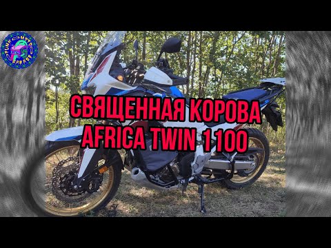 Видео: Просто ОБЗОР AFRICA TWIN 1100 Adventure Sports паралимпийский...