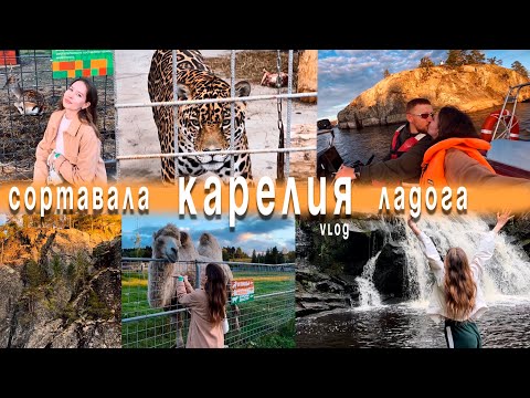 Видео: Ладожские шхеры | Карельский зоопарк | Сортавала | Паасо | горы и отдых души 