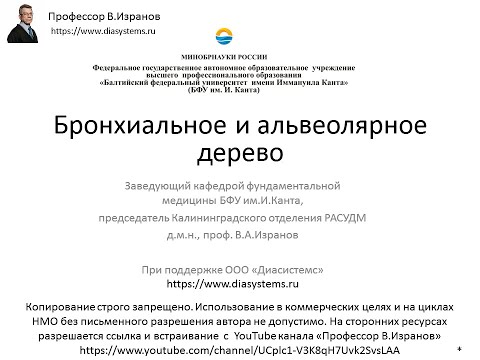 Видео: Бронхиальное и альвеолярное дерево. Лекция для студентов медицинского инаститута