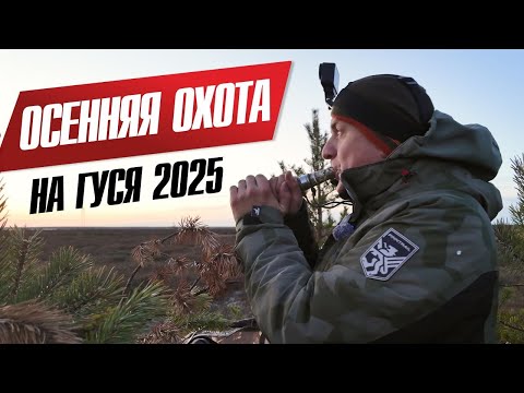 Видео: ОСЕННЯЯ ОХОТА НА ГУСЯ НА ЯМАЛЕ 2025