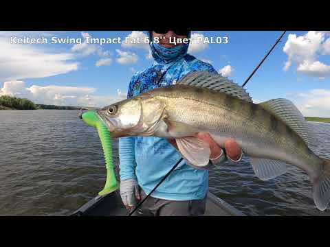 Видео: Максим Арестов, рыбалка с будущим чемпионом PAL 2021