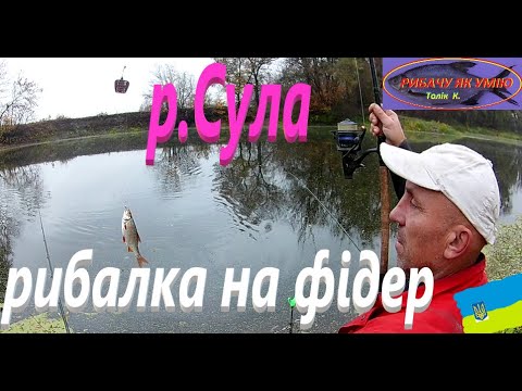 Видео: #Сула # Навідався з фідером #РибачуЯкУмію