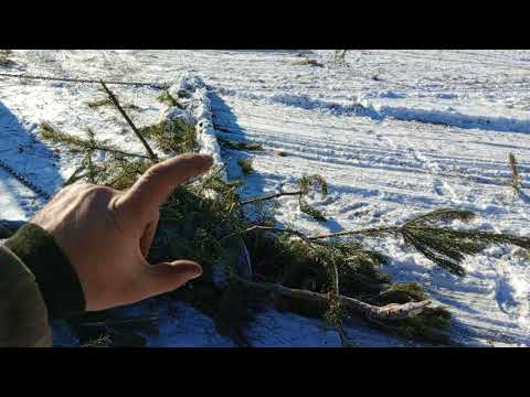 Видео: Расчищаем зарастающие поля 2025