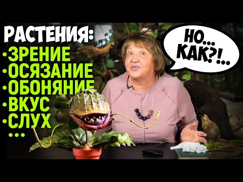 Видео: Поведение растений. Татьяна Николаевна Бибикова.