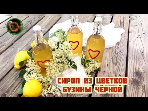 Видео: Очень полезный сироп из цветков ЧЁРНОЙ БУЗИНЫ 🌿 Укрепляет иммунитет 🌿 Убирает воспаления