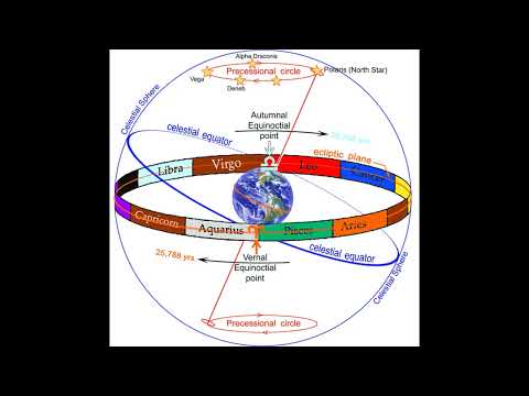 Видео: Гороскоп в нашей жизни