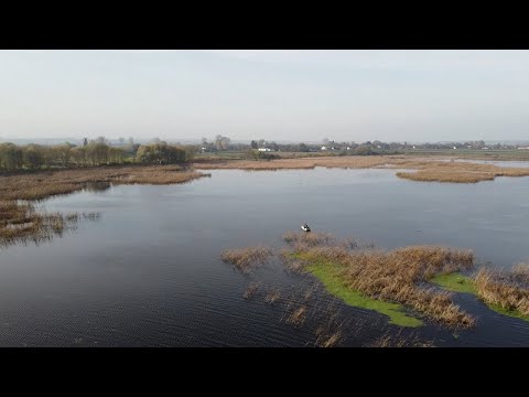 Видео: За ТРОФЕЙНОЮ ЩУКОЮ на водосховище! Млинівське водосховище