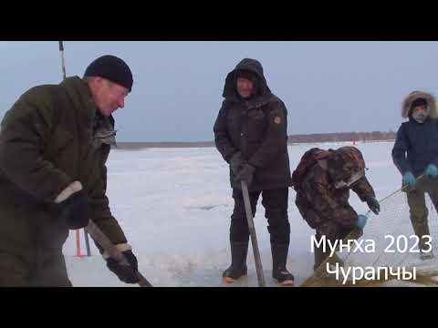 Видео: Муҥха.Чурапча 2023