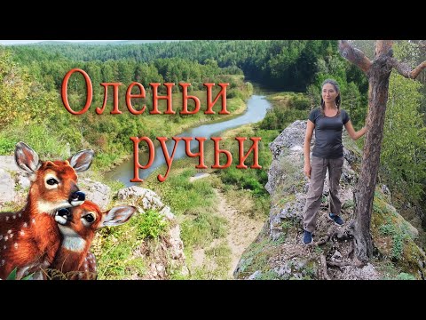 Видео: Оленьи ручьи. Поход по парку. История, достопримечательности, легенды