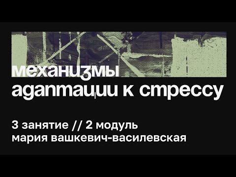 Видео: 3 занятие // Адаптация к стрессу // Мария Вашкевич-Василевская