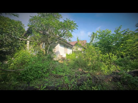 Видео: То, что считалось руинами, превращается в зелёный рай – «Преображение», которое всех поражает!