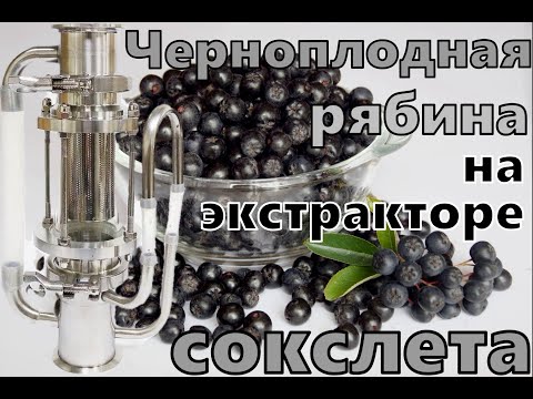 Видео: Черноплодная рябина на экстракторе Сокслета