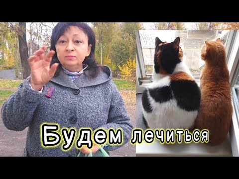 Видео: 😺БУДЕМ ЛЕЧИТЬСЯ ‼️ДОРОГО💥10.11.25
