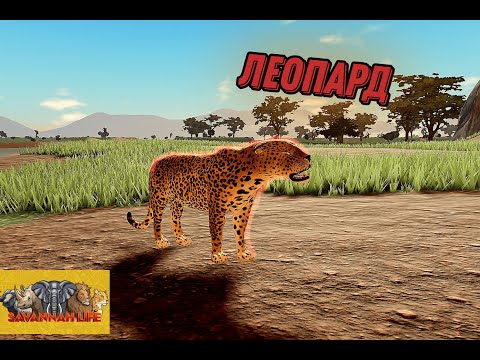 Видео: ЛЕОПАРД | Savannah Life (roblox)