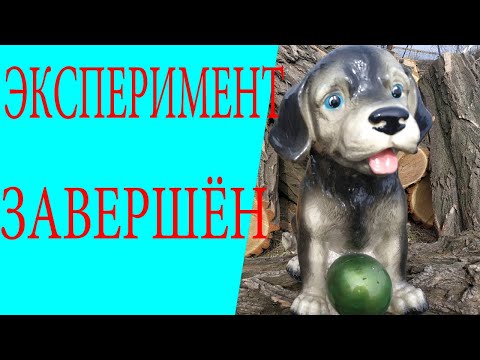 Видео: Советы от производителя.Садовые фигуры.