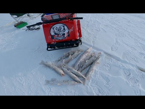 Видео: Камера подвела, но рыбалка состоялась. ( часть 2 ) Закипела нива.