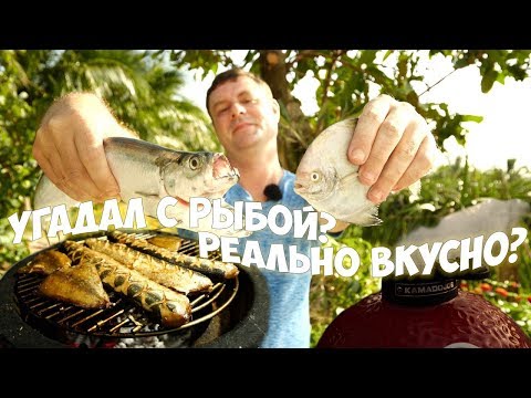 Видео: Тестируем на гриле необычных рыб!