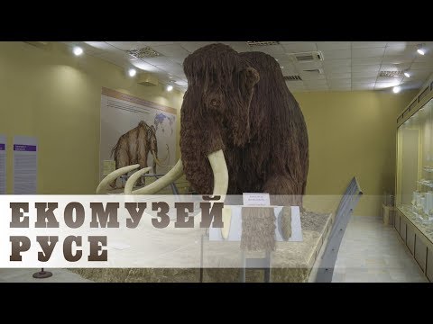 Видео: Екомузей с аквариум, Русе