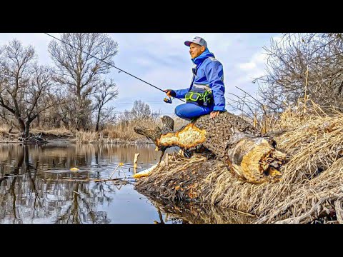 Видео: КРУТЕЗНЕ ВІДКРИТТЯ по спінінгу! Окунь на мікроджиг!