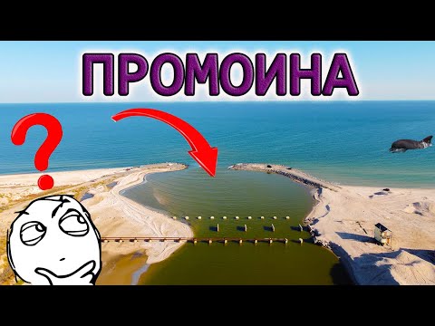 Видео: ПРОМОИНА в МОЛОЧНЫЙ ЛИМАН! ЧТО с ней ПРОИЗОШЛО? Обзор с высоты РЕДКИЕ КАДРЫ: ДЕЛЬФИНЫ, КИРИЛЛОВКА...