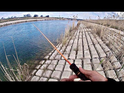 Видео: Вот это Я ПОПАЛ НА РЫБАЛКУ! Этих РЫБ не удержать в руках. Спиннинг на канале
