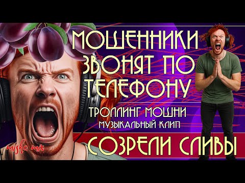 Видео: Созрели сливы. Мошенники звонят по телефону. Троллинг мошни + новая песня.