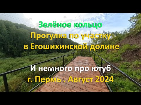 Видео: Зелёное кольцо, прогулка по участку в долине реки Егошиха. г. Пермь. Август 2024