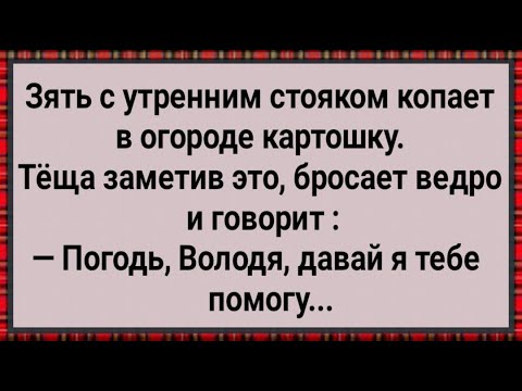 Видео: Как Теща Зятю в Огороде Помогала! Сборник Свежих Анекдотов! Юмор!