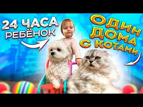 Видео: НА 24 ЧАСА ОСТАВИЛИ МАЛЫША С КОТАМИ ДОМА